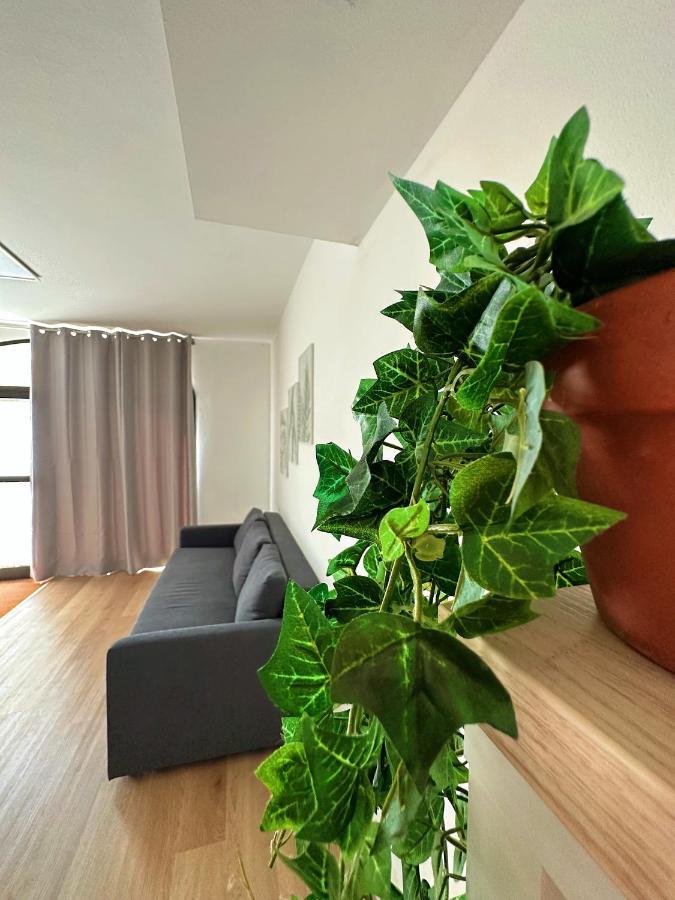 In Mezzo All'Aria Apartment Mezzolara Buitenkant foto